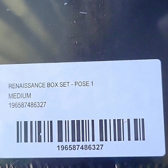 Beyoncé Renaissance Box set Pose 1 Size Medium - Picture 12 of 12